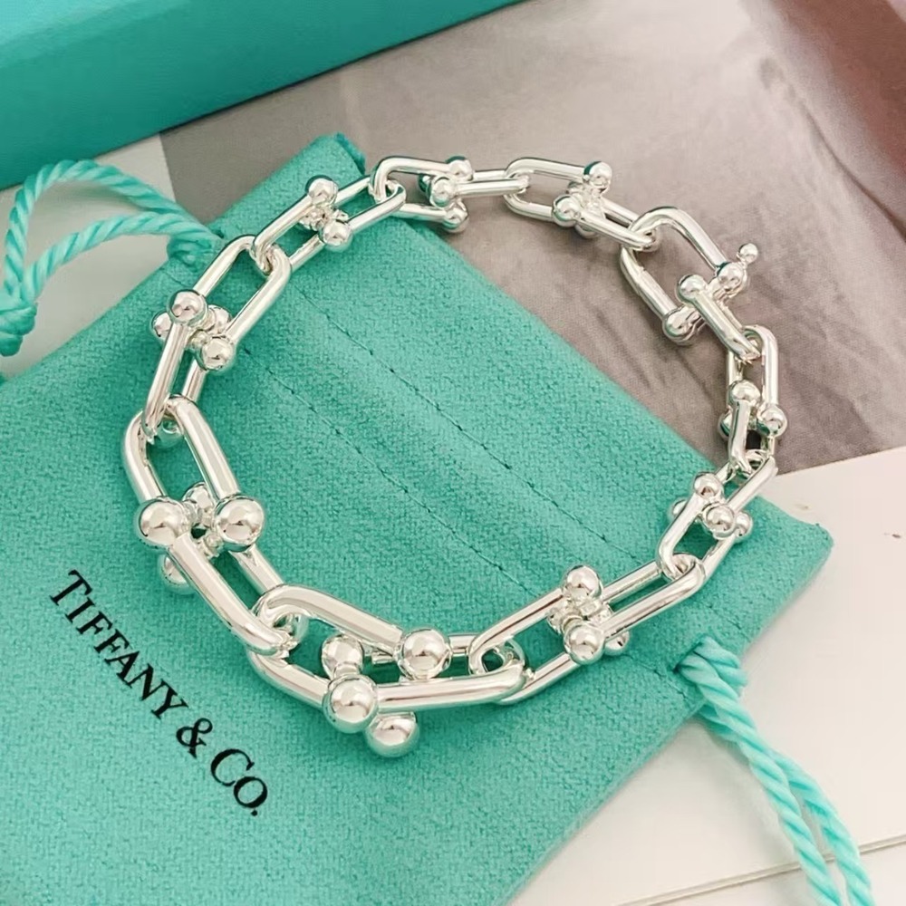 Tiffany & Co. Silver Silver Gradient Hoop Earrings Necklace
